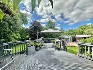 Photo 37- click for photo gallery